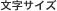 文字サイズ